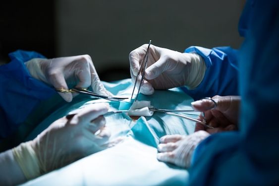 Hernia Repair Surgery: Types and Recovery